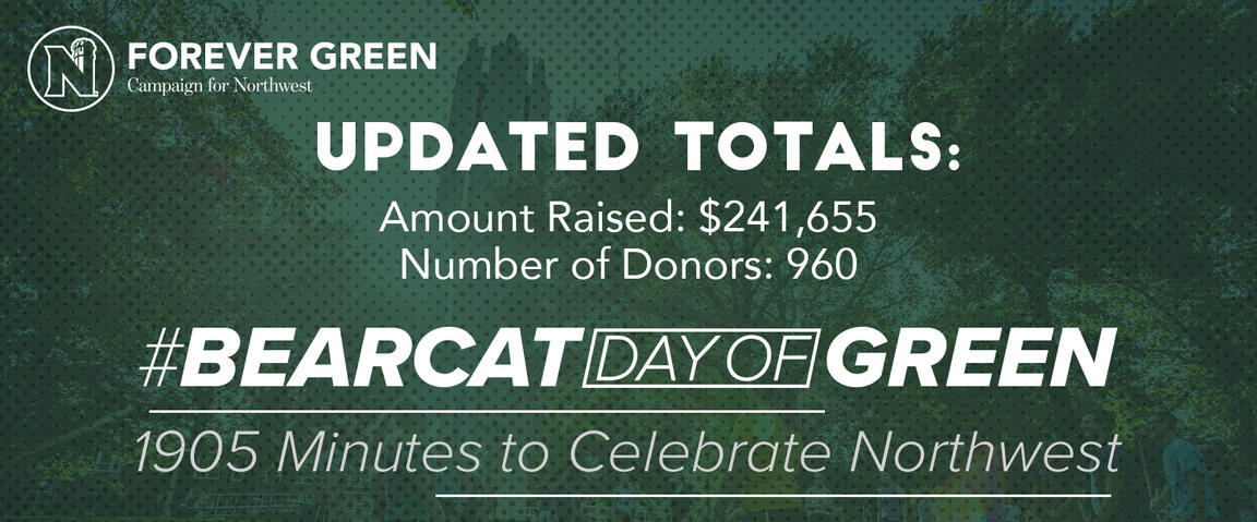 Giving Campaign Website Graphic #2