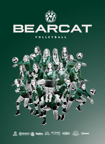 Women's Volleyball Poster